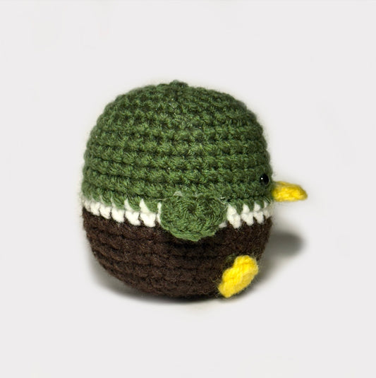 Molly the Mischievous Mallard