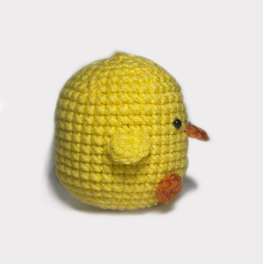 Caidyn the Cheerful Chick