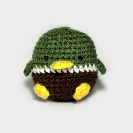 Molly the Mischievous Mallard